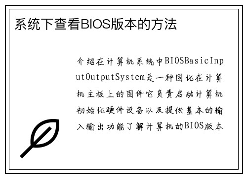 系统下查看BIOS版本的方法